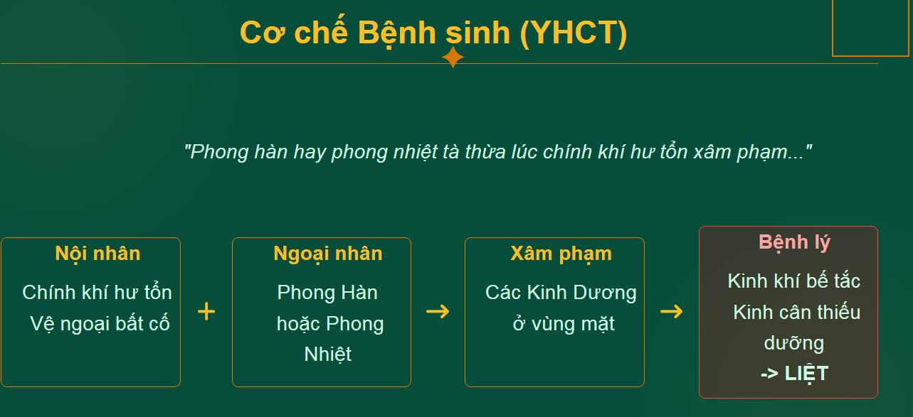 cơ chế bệnh sinh y học cổ truyền về liệt dây thần kinh số 7